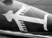 Albatros D.V Josef Veltjens - Jasta 18 - fuselage detail (Greg VanWyngarden)